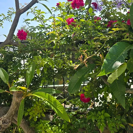 Five Fingers Vakantiepark