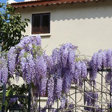 Holiday park Five Fingers