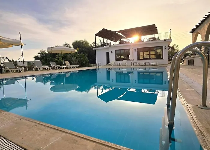 ファイブ フィンガーズ ホリデー * Kazaphani