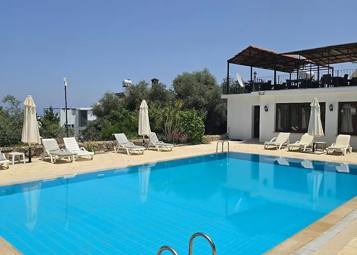 ファイブ フィンガーズ ホリデー