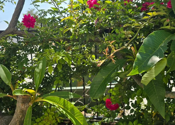 Five Fingers Tatil parkı