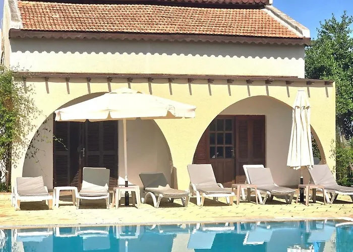 ファイブ フィンガーズ ホリデー *