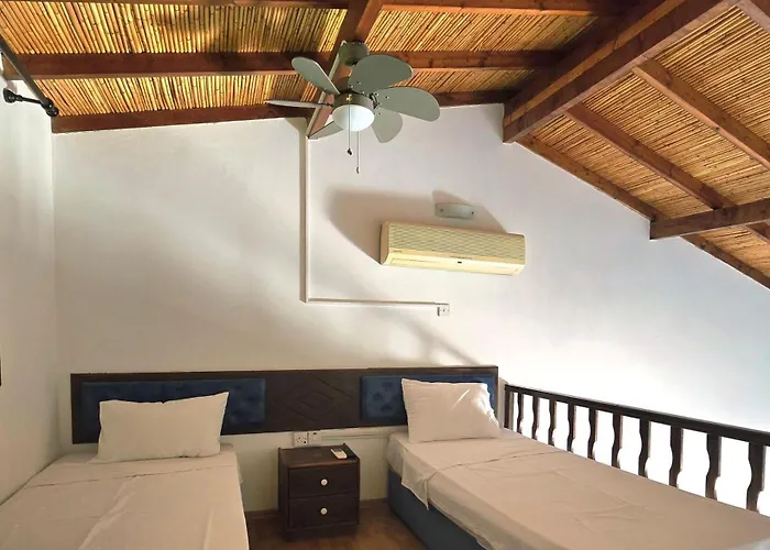 ファイブ フィンガーズ ホリデー