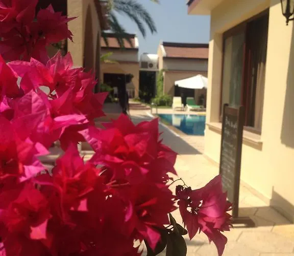 ホリデーパーク ファイブ フィンガーズ ホリデー *